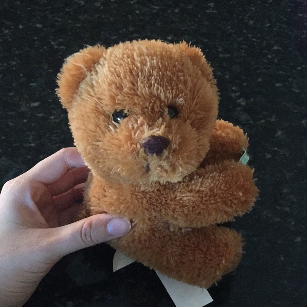 Mini stuffed bear